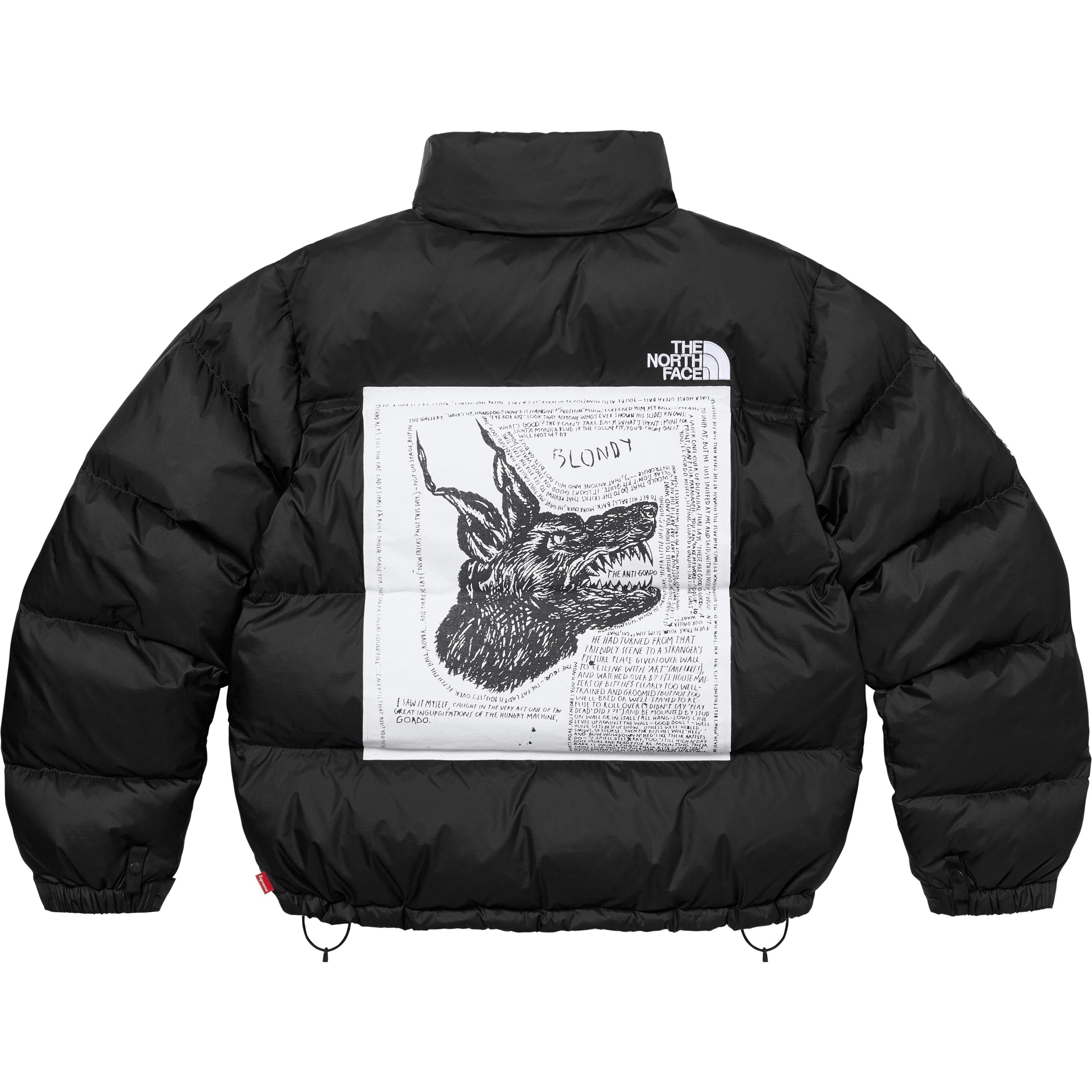 Supreme®/The North Face® Nuptse Jacket view 14